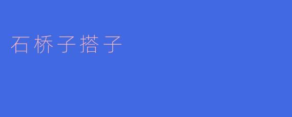 石桥子搭子