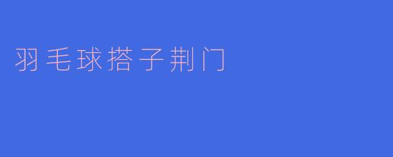 在荆门想找长期稳定的羽毛球搭子，有哪些靠谱的途径或场所推荐？