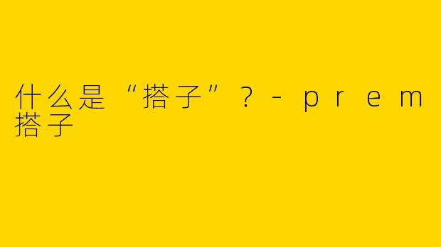 什么是“搭子”?-prem搭子