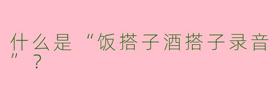 什么是“饭搭子酒搭子录音”？