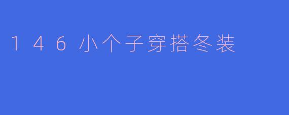 146小个子穿搭冬装