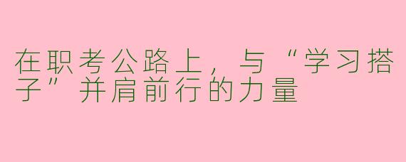 在职考公路上，与“学习搭子”并肩前行的力量