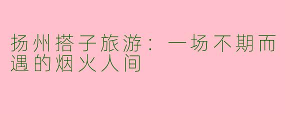 扬州搭子旅游：一场不期而遇的烟火人间