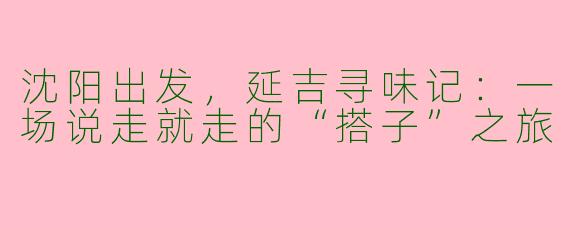 沈阳出发，延吉寻味记：一场说走就走的“搭子”之旅