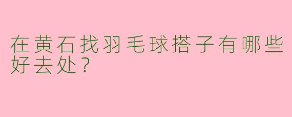 在黄石找羽毛球搭子有哪些好去处？