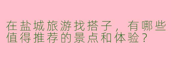 在盐城旅游找搭子，有哪些值得推荐的景点和体验？