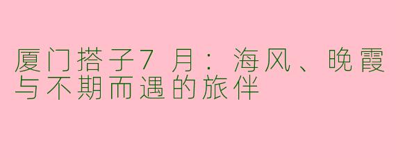 厦门搭子7月:海风、晚霞与不期而遇的旅伴