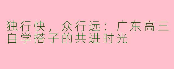 独行快，众行远：广东高三自学搭子的共进时光
