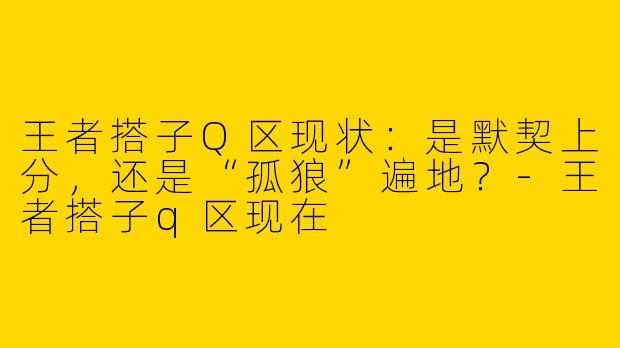王者搭子Q区现状：是默契上分，还是“孤狼”遍地？-王者搭子q区现在