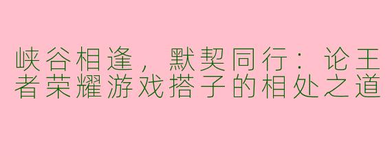 峡谷相逢，默契同行：论王者荣耀游戏搭子的相处之道