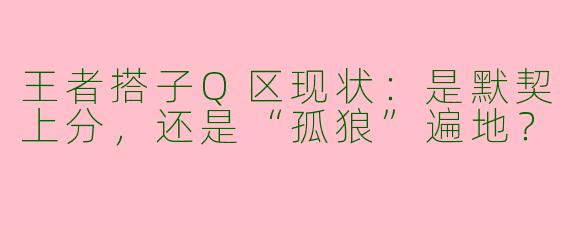 王者搭子Q区现状：是默契上分，还是“孤狼”遍地？