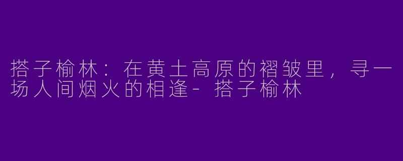 搭子榆林：在黄土高原的褶皱里，寻一场人间烟火的相逢-搭子榆林