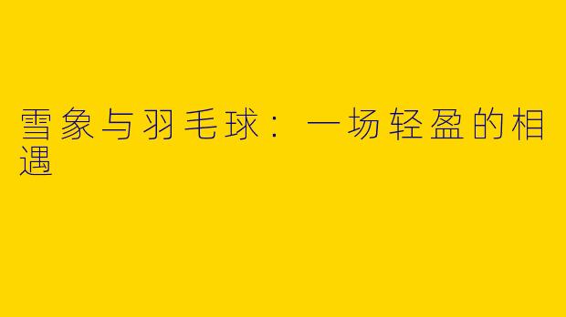 雪象与羽毛球：一场轻盈的相遇