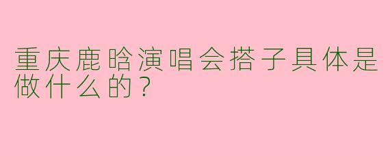 重庆鹿晗演唱会搭子具体是做什么的？