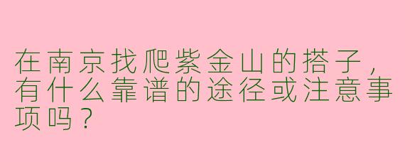 在南京找爬紫金山的搭子，有什么靠谱的途径或注意事项吗？