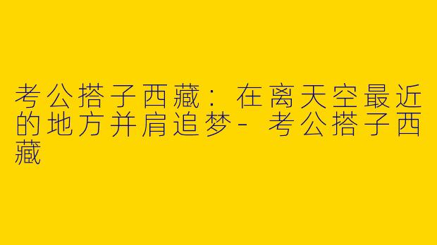 考公搭子西藏：在离天空最近的地方并肩追梦-考公搭子西藏