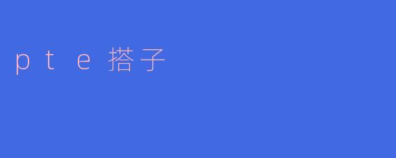 pte搭子