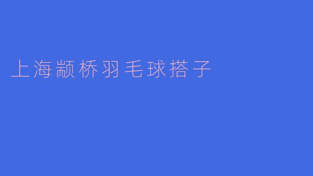 上海颛桥羽毛球搭子