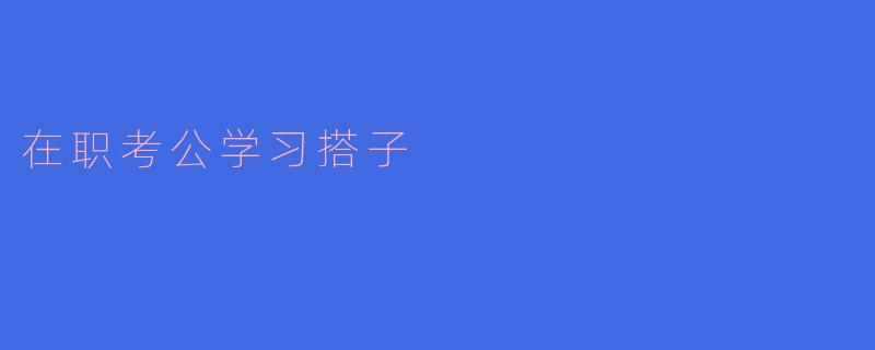 在职考公学习搭子