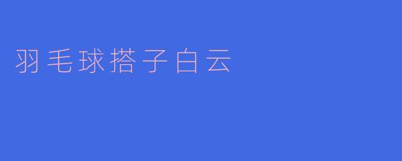 羽毛球搭子白云