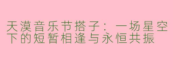 天漠音乐节搭子：一场星空下的短暂相逢与永恒共振