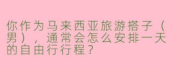 你作为马来西亚旅游搭子（男），通常会怎么安排一天的自由行行程？