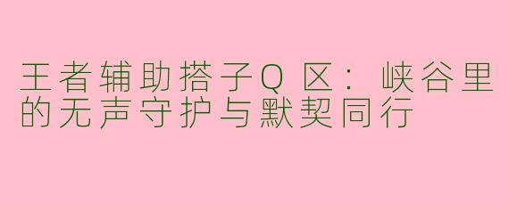 王者辅助搭子Q区：峡谷里的无声守护与默契同行