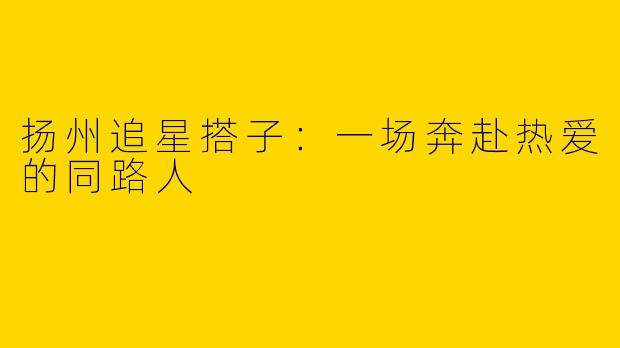 扬州追星搭子：一场奔赴热爱的同路人