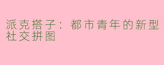 派克搭子：都市青年的新型社交拼图