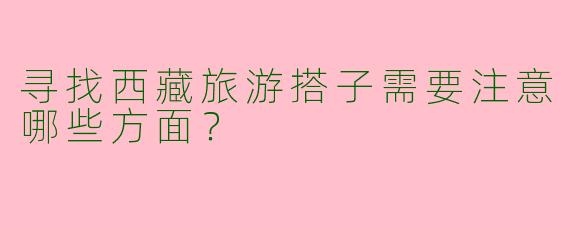 寻找西藏旅游搭子需要注意哪些方面？