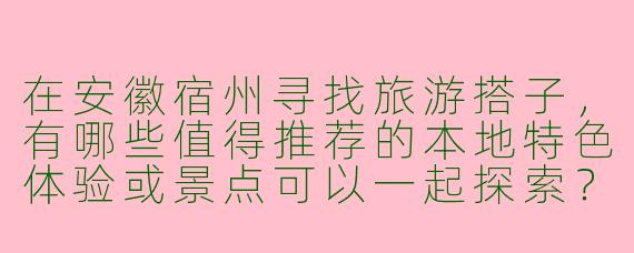 在安徽宿州寻找旅游搭子，有哪些值得推荐的本地特色体验或景点可以一起探索？