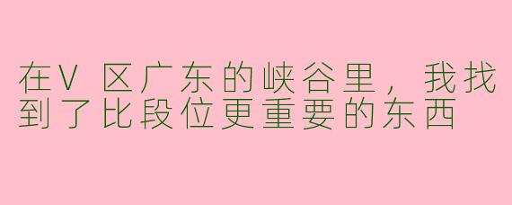 在V区广东的峡谷里，我找到了比段位更重要的东西