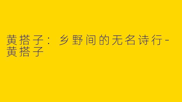 黄搭子：乡野间的无名诗行