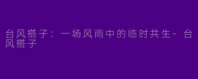 台风搭子：一场风雨中的临时共生