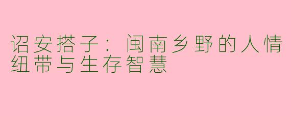 诏安搭子：闽南乡野的人情纽带与生存智慧