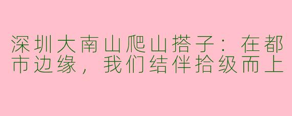深圳大南山爬山搭子：在都市边缘，我们结伴拾级而上