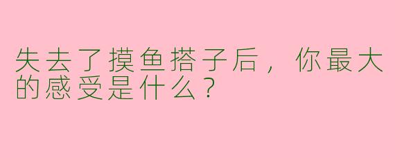 失去了摸鱼搭子后，你最大的感受是什么？