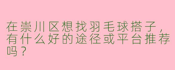 在崇川区想找羽毛球搭子，有什么好的途径或平台推荐吗？