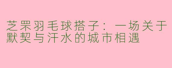 芝罘羽毛球搭子：一场关于默契与汗水的城市相遇
