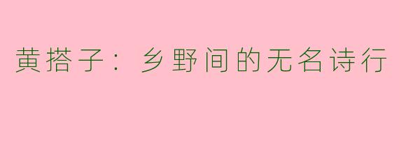 黄搭子:乡野间的无名诗行