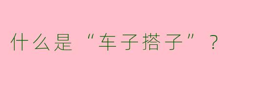 什么是“车子搭子”？