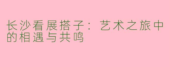 长沙看展搭子：艺术之旅中的相遇与共鸣