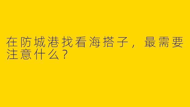 在防城港找看海搭子，最需要注意什么？