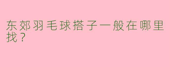 东郊羽毛球搭子一般在哪里找？