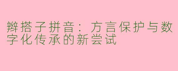 辫搭子拼音：方言保护与数字化传承的新尝试
