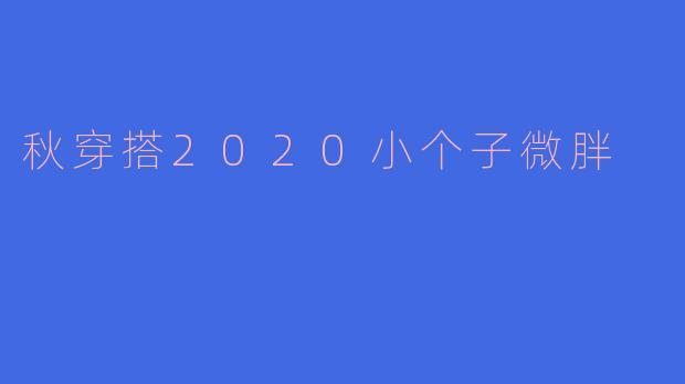 秋穿搭2020小个子微胖