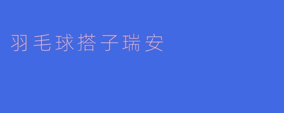 羽毛球搭子瑞安