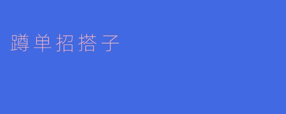 蹲单招搭子