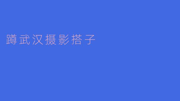 蹲武汉摄影搭子