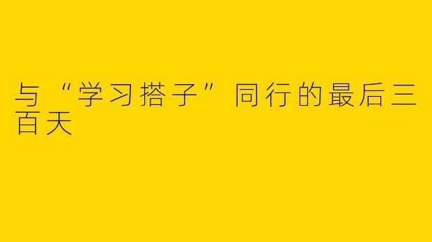 与“学习搭子”同行的最后三百天